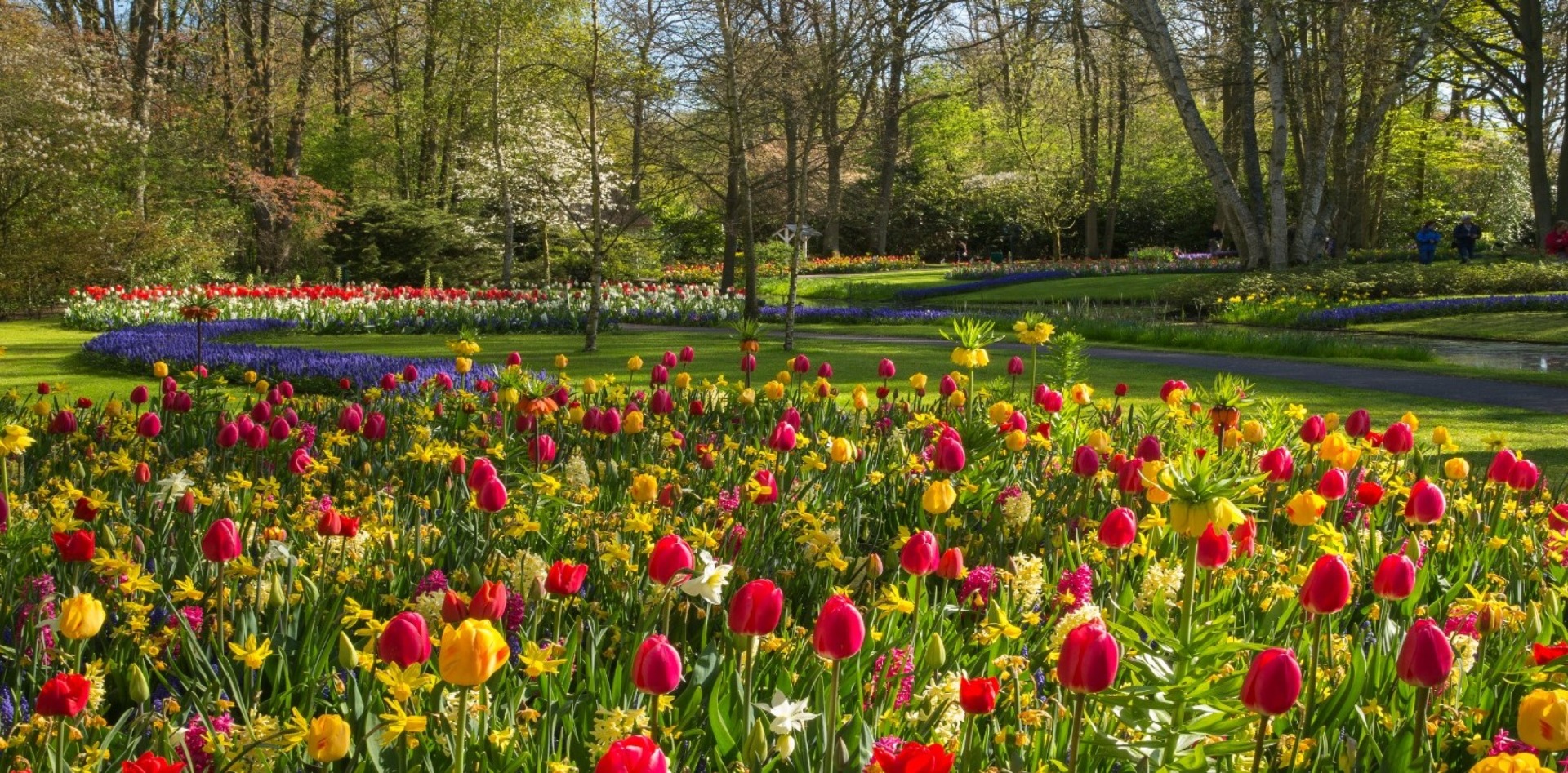 Keukenhof Gardens Mini Cruise 