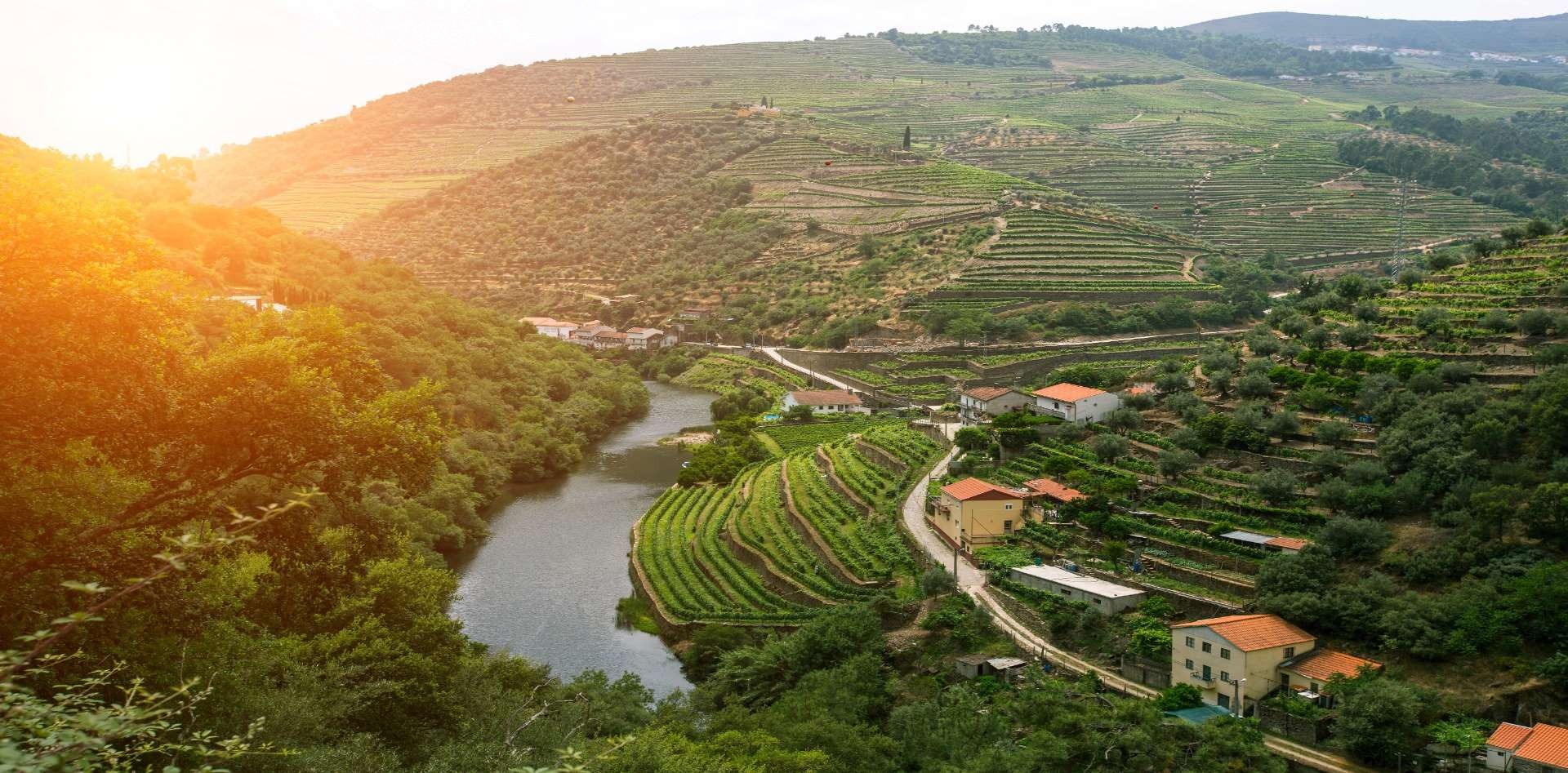 Portugal, Delights of the Douro Valley 